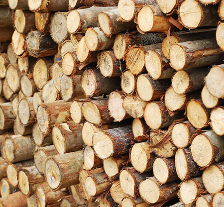 Vente de bois de chauffage près de Maubeuge et Valenciennes