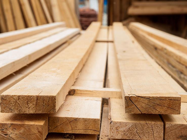 Coupe de grumes en bois d'oeuvre près de Maubeuge